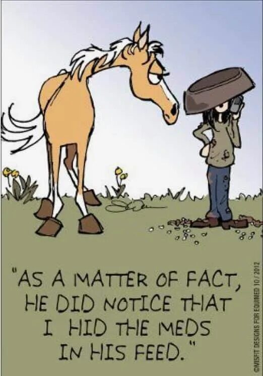 Анекдот лошадка