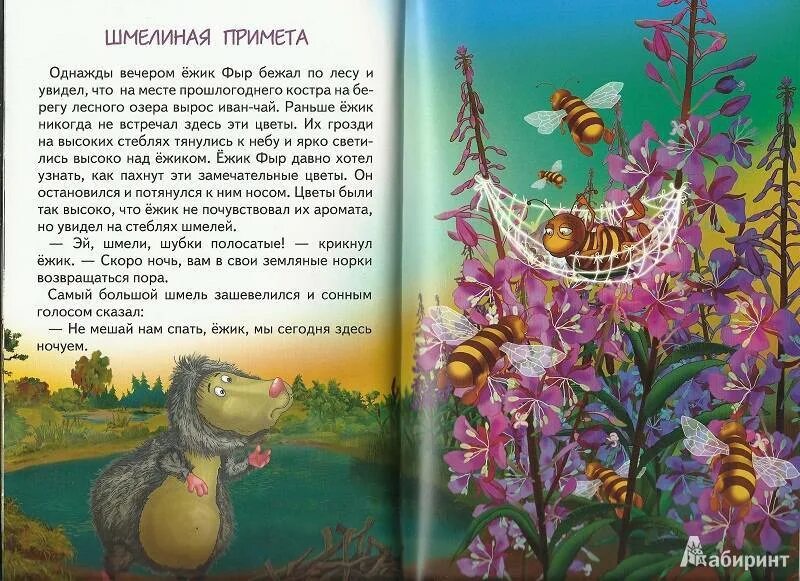 Ежик сказка читать. Сказка про ежика. сказки ежика фыра. сказка про ежа. сказка про ежика для детей.