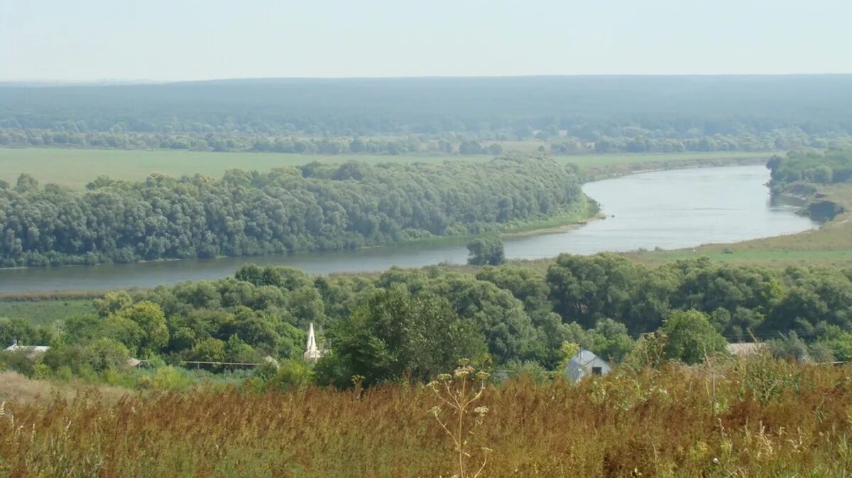 Хохольский район село. Хохольский район Костенки. Природа Хохольского района Воронежской области. Костенки Хохольский район Воронежская. Воронеж Хохольский район природа.