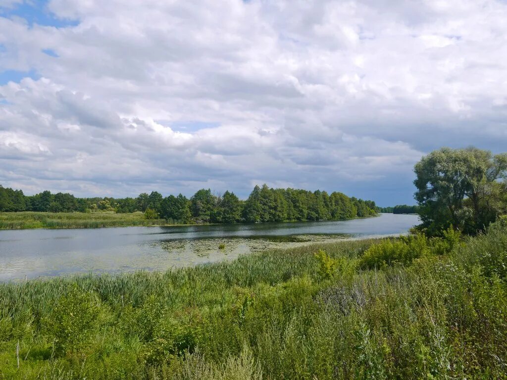 Рыльский район. Городище Курская область Рыльский район. Ишутино Курская область усадьба. Усадьба Ишутино Рыльский район. Курская область Рыльский район деревня Ишутино.