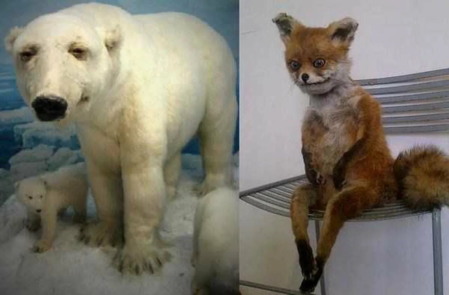 Упорото значение. Упорото значение
