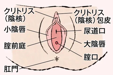 陰 核 画 像 - sdotforms.envirolytical.com.