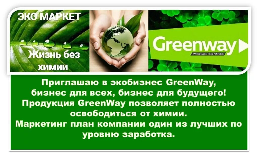 Интернет магазин greenway mygreen mag ru. Приглашаю партнеров в Гринвей. Листовки Гринвей. Визитки компании Гринвей. Приглашение в Гринвей.