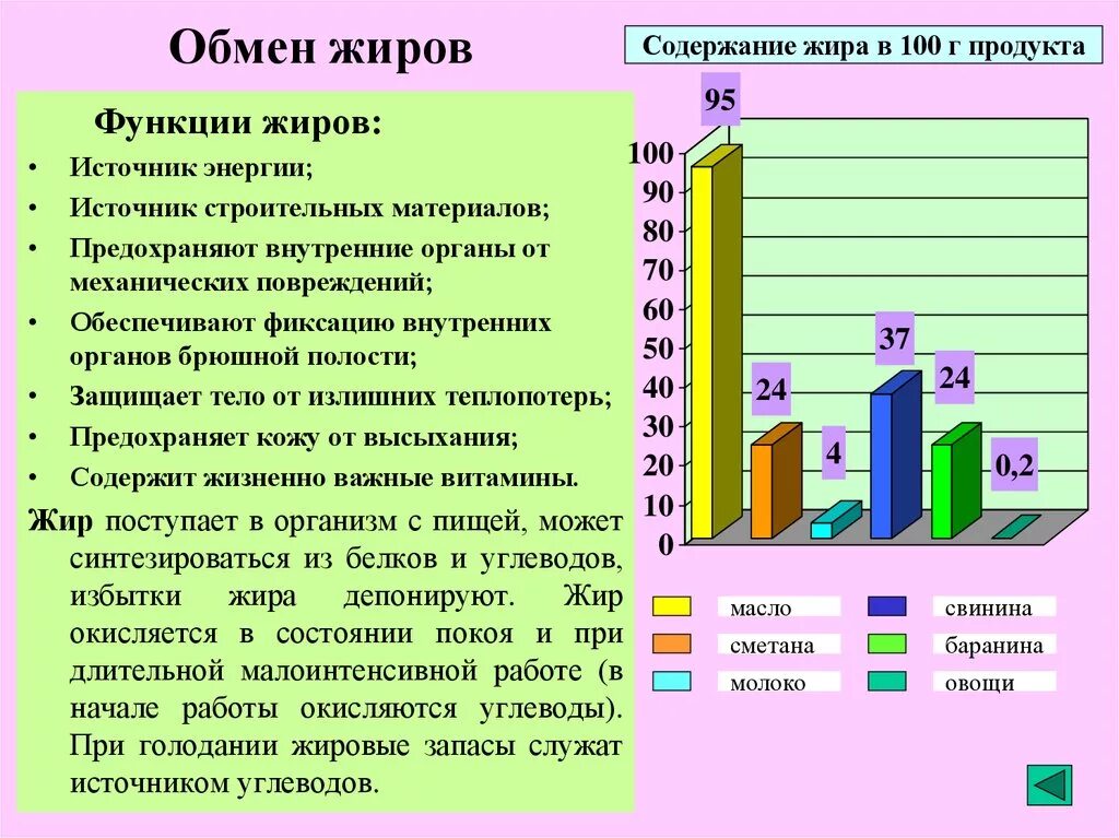 Обмен жиров. Обмен жиров функции. Этапы жирового обмена схема. Обмен жиров кратко. Жиры запас воды