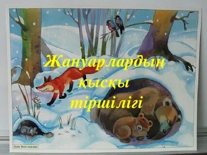 Арық жоптың порнографиясы