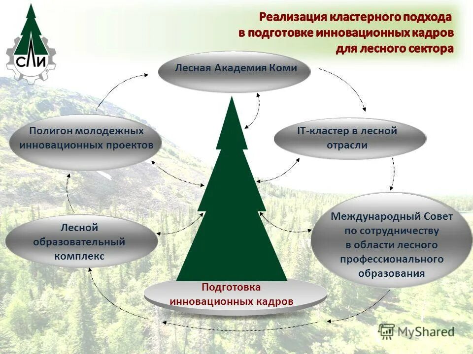 Проблемы кластеров. Лесная промышленность кластер. Экологические проблемы лесного комплекса. Кластер Лесная промышленность Финляндии. Кластер экологические проблемы.