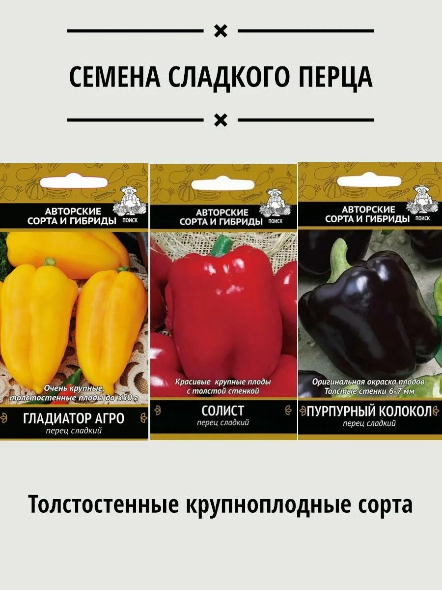 Сорт перца гладиатор. Перец гладиатор желтый. перец солист. перец солист описание сорта фото. перец гладиатор описание.