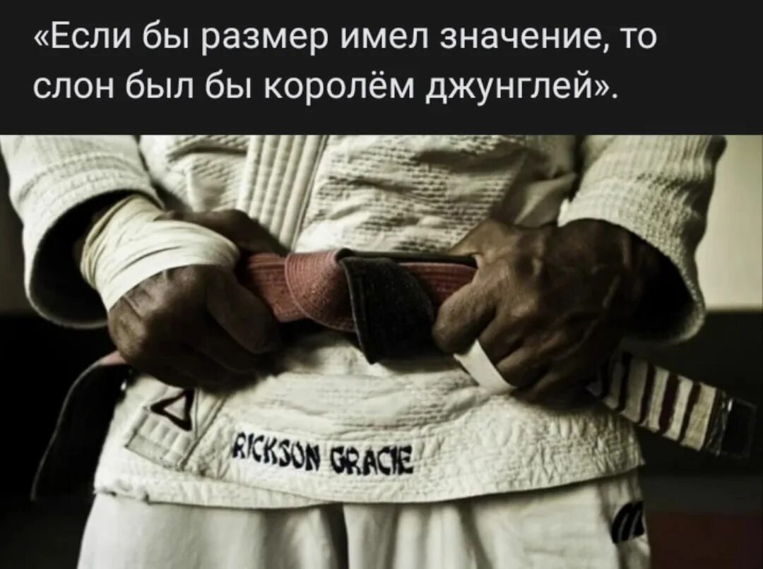 Дороже имеет значение и