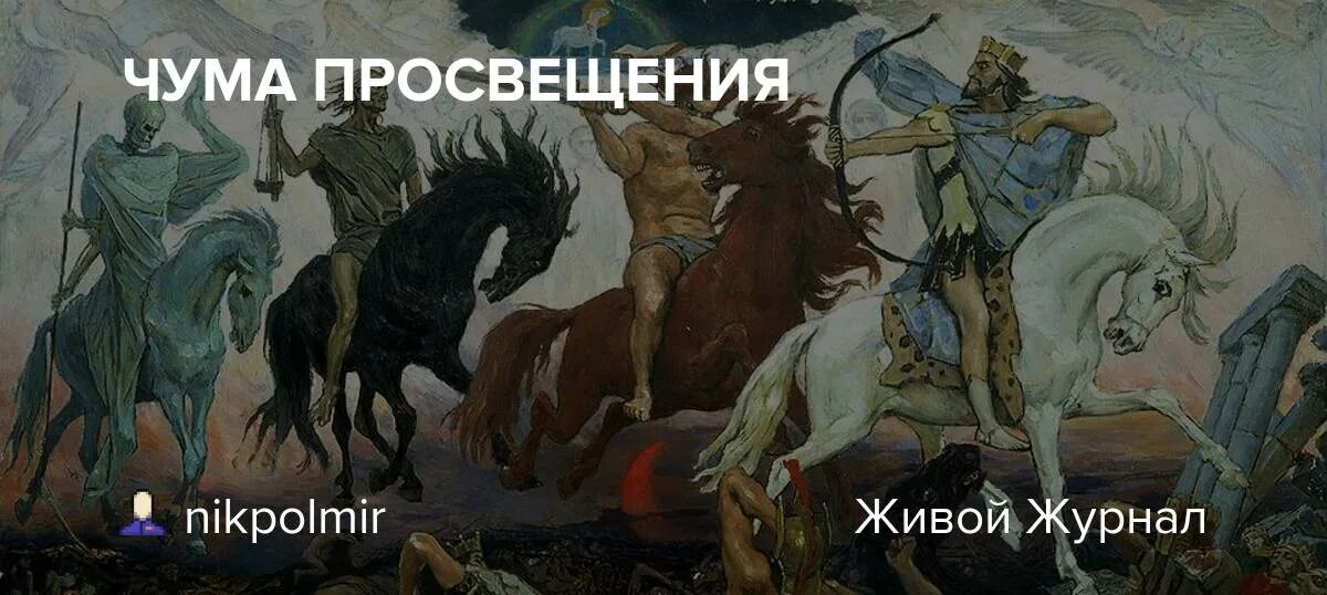 Цитаты про всадников. Инструктор и всадник. Фразы про верховую езду на лошадях. Цитаты про всадников. Лошадь баррел рейсинг.