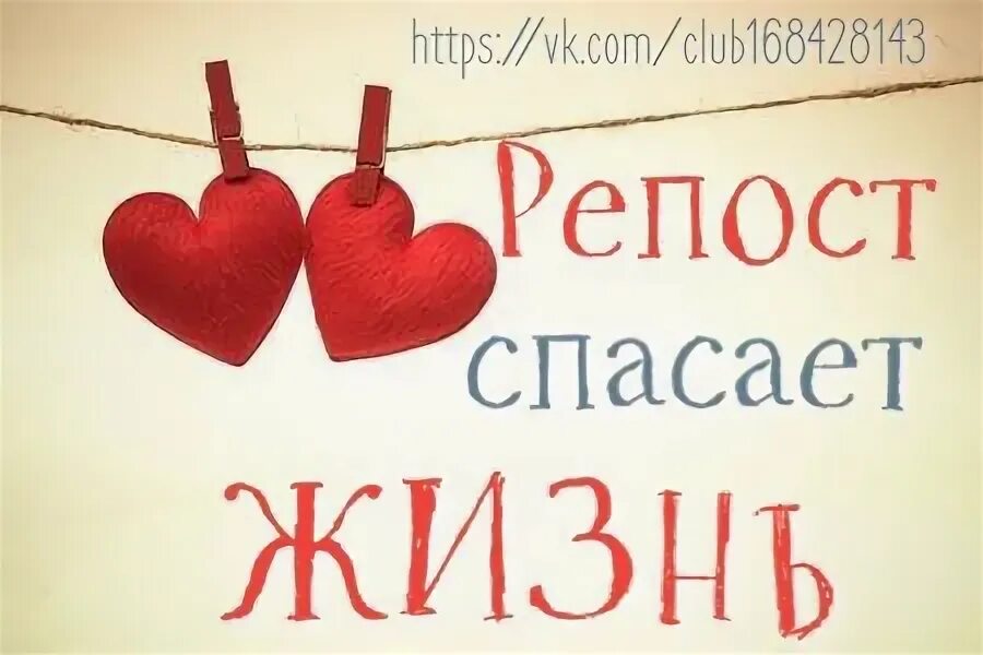 Помоги спасти жизнь. Репост спасает жизнь. сделай репост спаси жизнь. репост спасет жизнь картинки. картинка помогать легко попробуй.