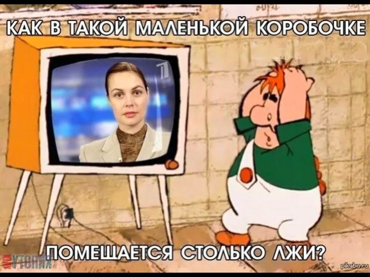 Манул. Злюка дюдюка. Забавная девочка. А я маленький такой. Недовольное лицо девушки.