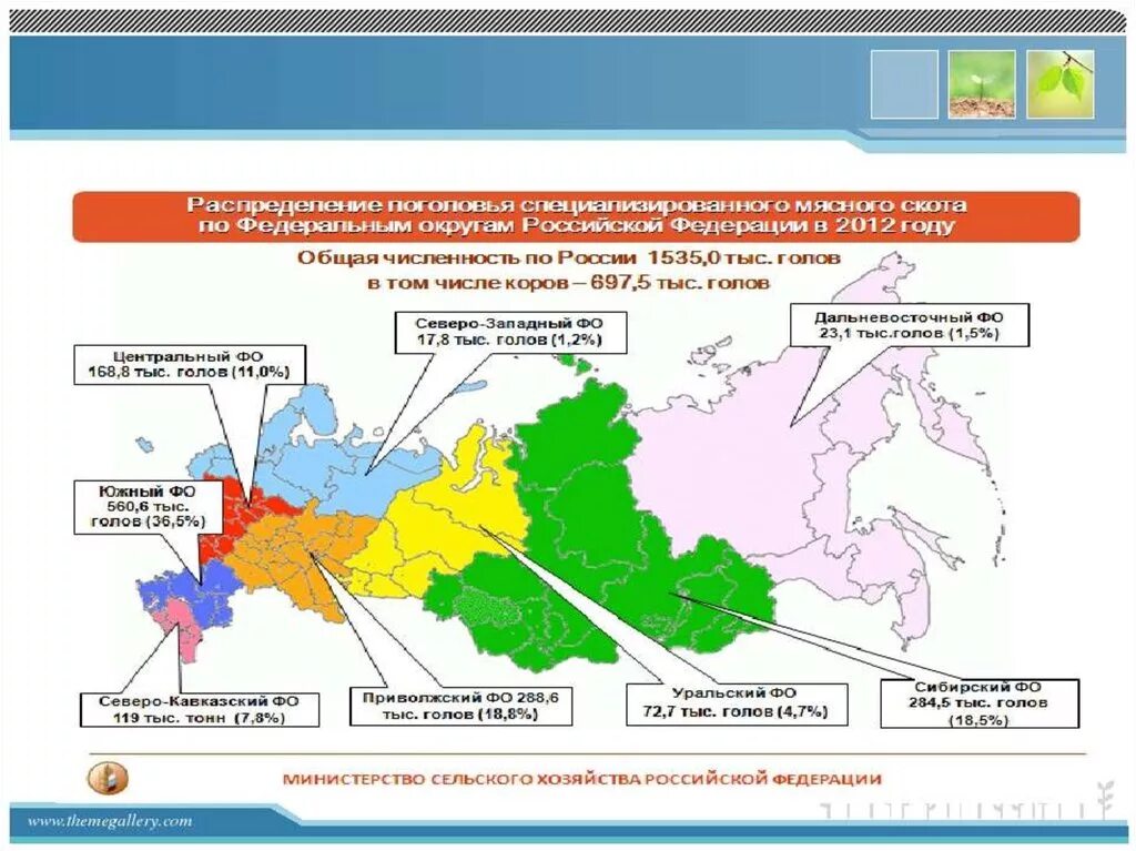 Карта сельскохозяйственных районов россии. Основные центры агропромышленного комплекса России. Агропромышленный комплекс России карта. Агропромышленный комплекс на карте России по географии. Основные сельскохозяйственные районы России.