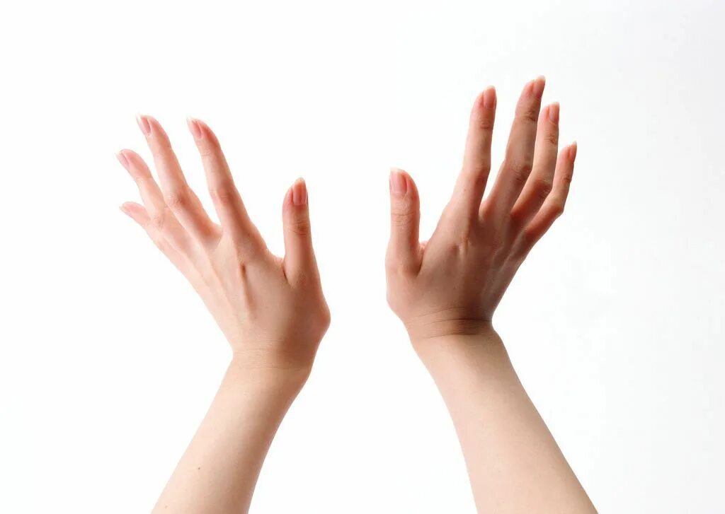 Presentation hands