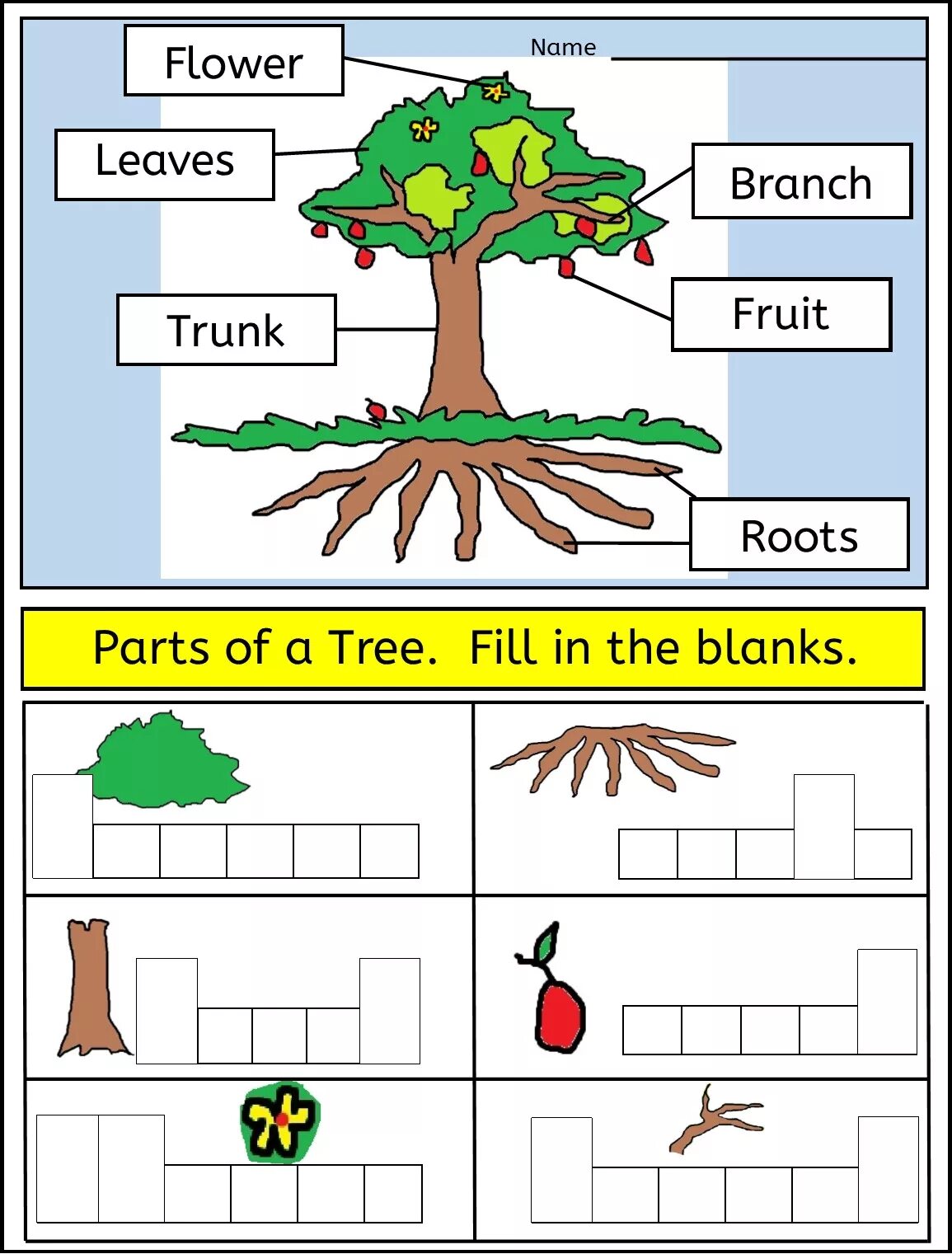 Plants task. Дерево for Kids. Деревья на английском. Parts of a Tree for Kids. Parts of Plants for Kids.