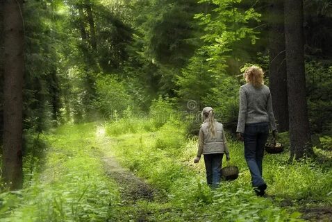 Protect forest