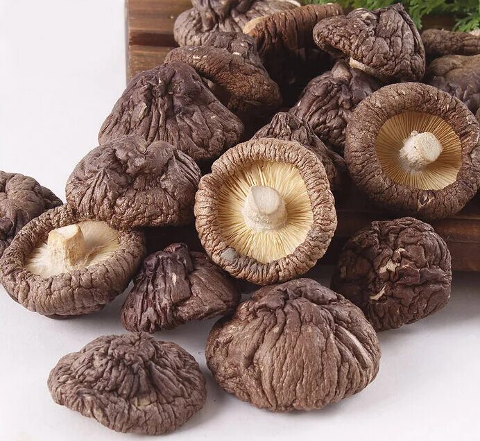 Natural dry. Китайские грибы шиитаке. Древесные грибы шиитаке. Корейские грибы шиитаке. Древесные грибы китайские шиитаке.