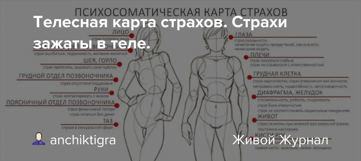 Телесные изменения. Мышечный панцирь по райху. Кинестетик это человек который. Телесно что означает. Телесно что означает.