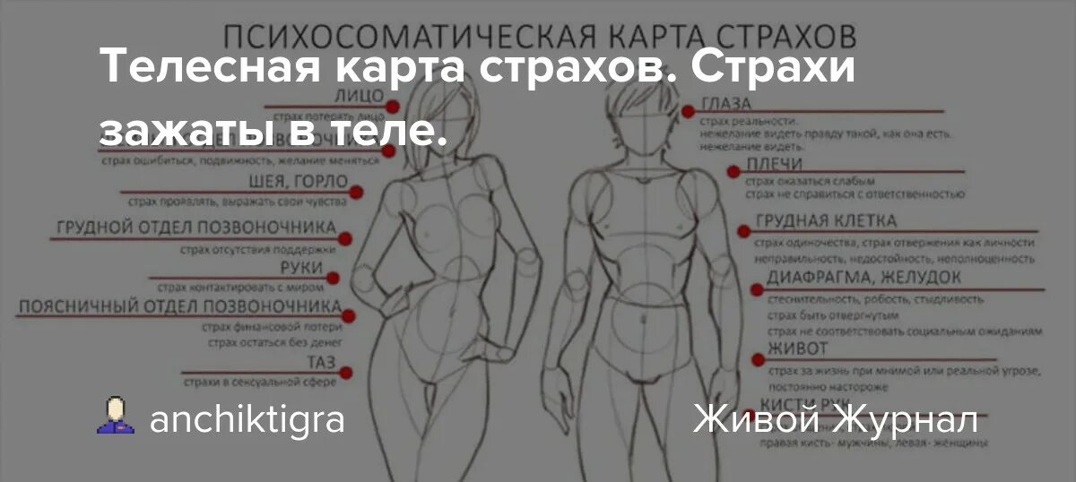 Психосоматика. Причины психосоматических болезней. Телесная карта эмоций человека. Психосоматическая карта тела. Психосоматические причины болей.