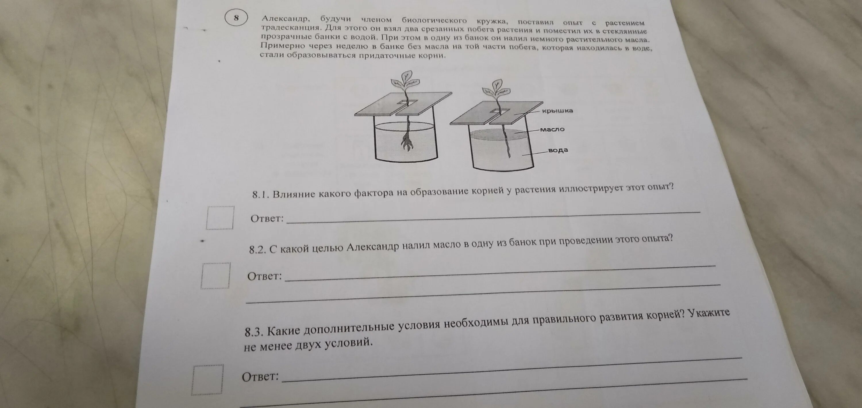 Опыты по биологии 6 класс впр. Опыты с растениями ВПР. ВПР 6 класс биология эксперимент.