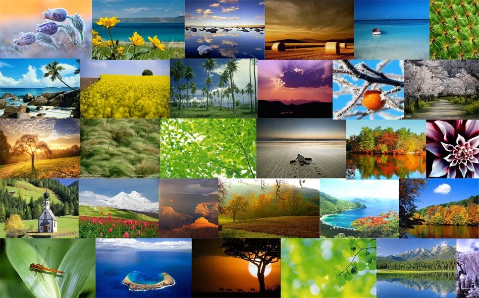 коллаж природа. коллаж природы. красота природы коллаж. коллаж природы. пейзаж из фотографий.