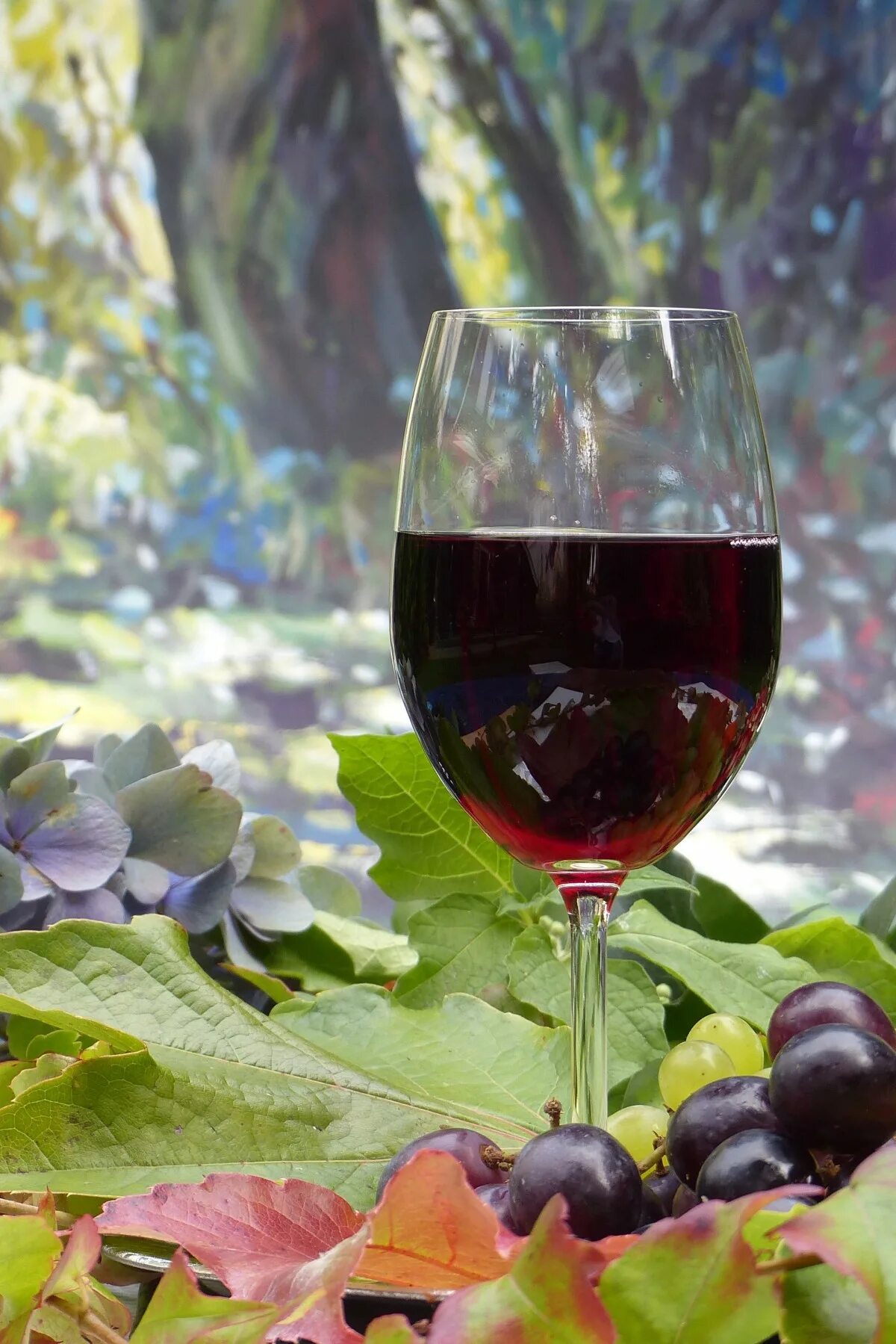 Винный погребок вино красное. Красное вино. Красное вино. Still wine. Белое вино.