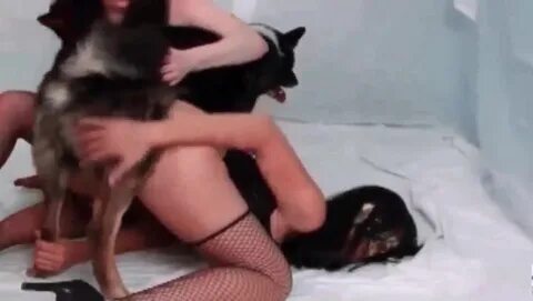 Slideshow hot girl fucks a dog till it cums.