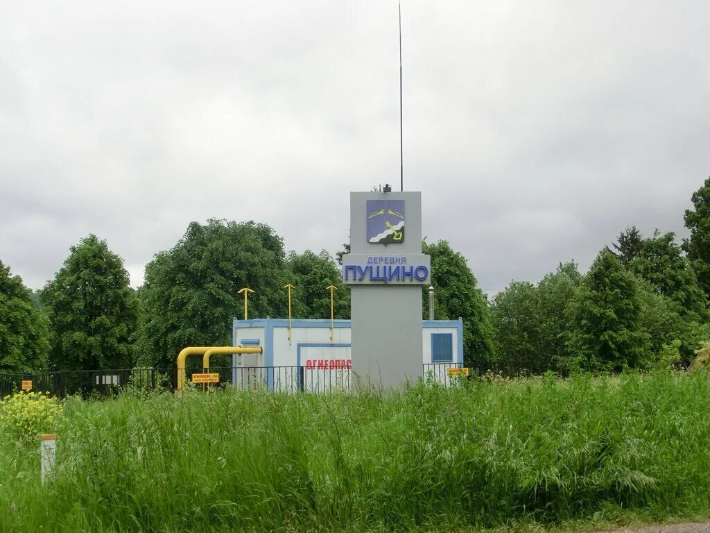 Пущино на наре серпухов. Усадьба пущино на наре серпухов. Пущино достопримечательности-усадьба. Деревня пущино на наре. Дом кривицкого серпухов фото дом 10 на улице форса.
