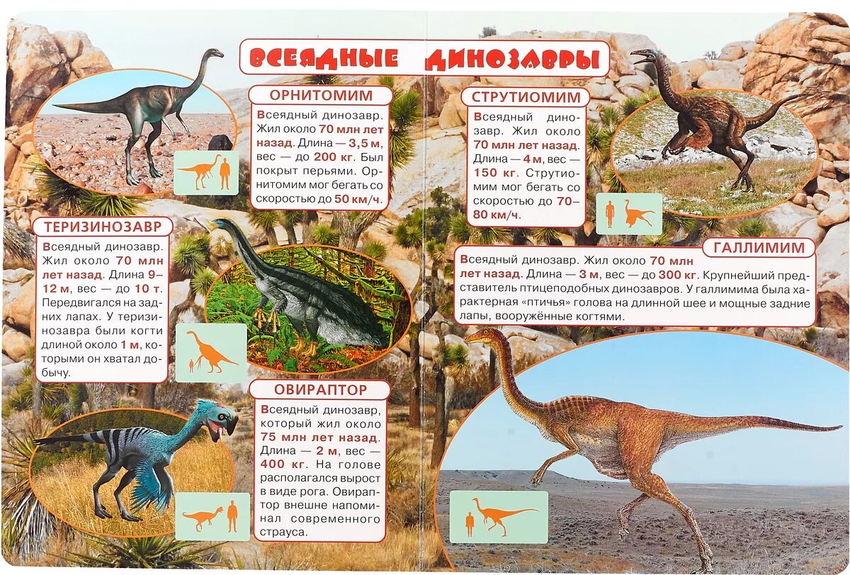 Опиши динозавра. Динозавры и их названия. Описание динозавров. Динозавры и их названия для детей. Виды динозавров с описанием.