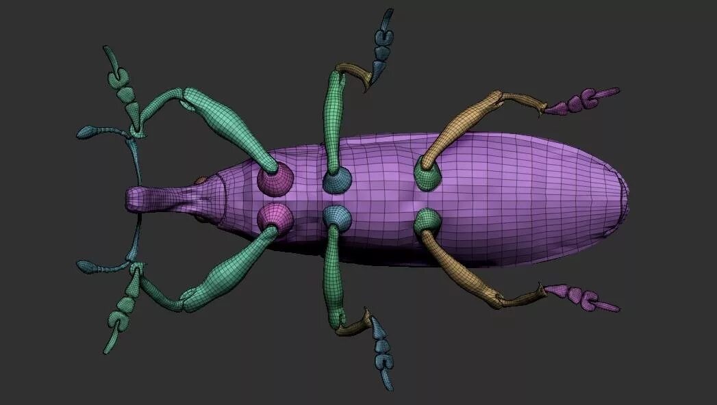 Bugs and humans. Bugs and humans