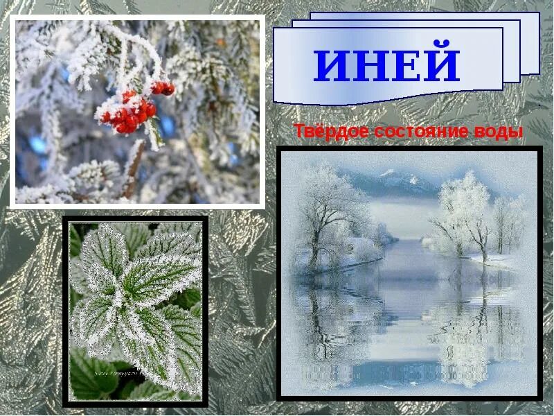 Роса состояние воды. Иней в твердом состоянии. Иней состояние воды. В твёрдом, иней. Вода в твердом состоянии иней.