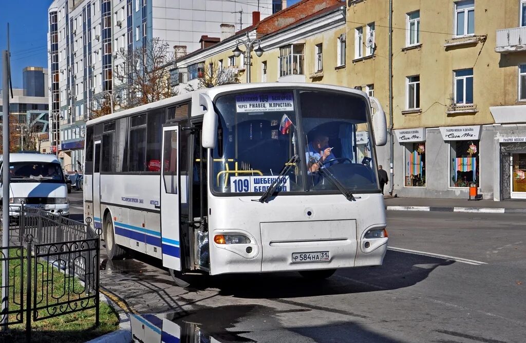 ПАЗ Белгород. Автовокзал Курск Белгород. Автобус Белгород. Курск Белгород автобус. Ростов старый оскол автобус