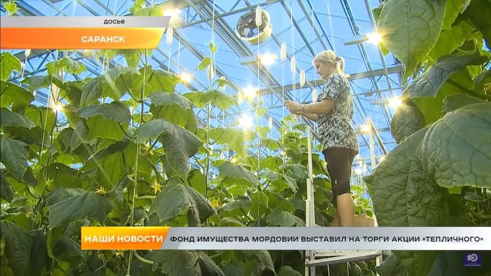 Гуп рм тепличное саранск. Гуп тепличное саранск. Южно-сахалинск. Ао совхоз тепличный южно-сахалинск. Тепличное саранск вакансии.