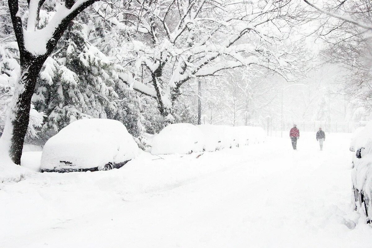 Все осветилось метели как. Снежная буря. Метель. Снегопад на трассе ночью. Снежный ветер.