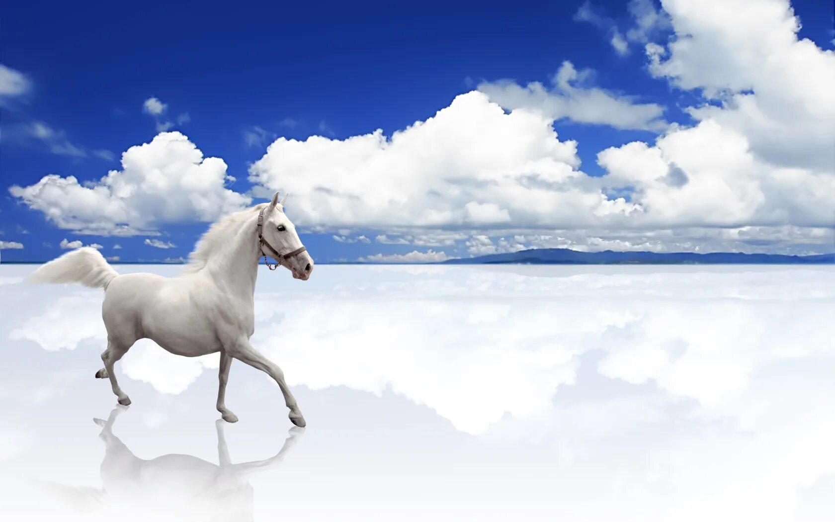 Поздравления с новым годом 2014. Неоновая лошадь. Расцветки коней. Год лошади цвет. Лошадь на зеленом фоне.