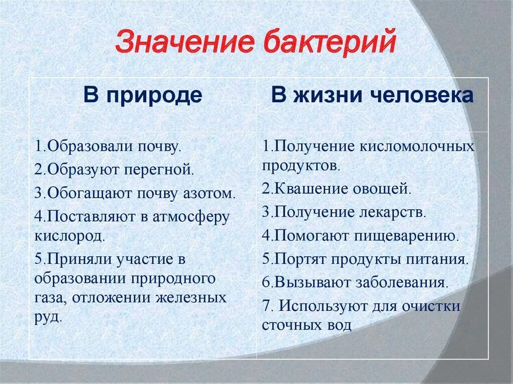 Выписать значение бактерий. Плюсы и минусы бактерий в природе. роль бактерий в жизни человека. значение бактерий в жизни человека. плюсы бактерий в природе.