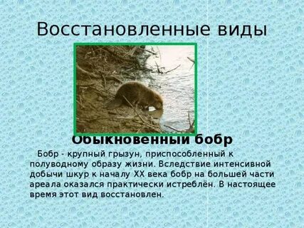 Восстанавливающиеся виды