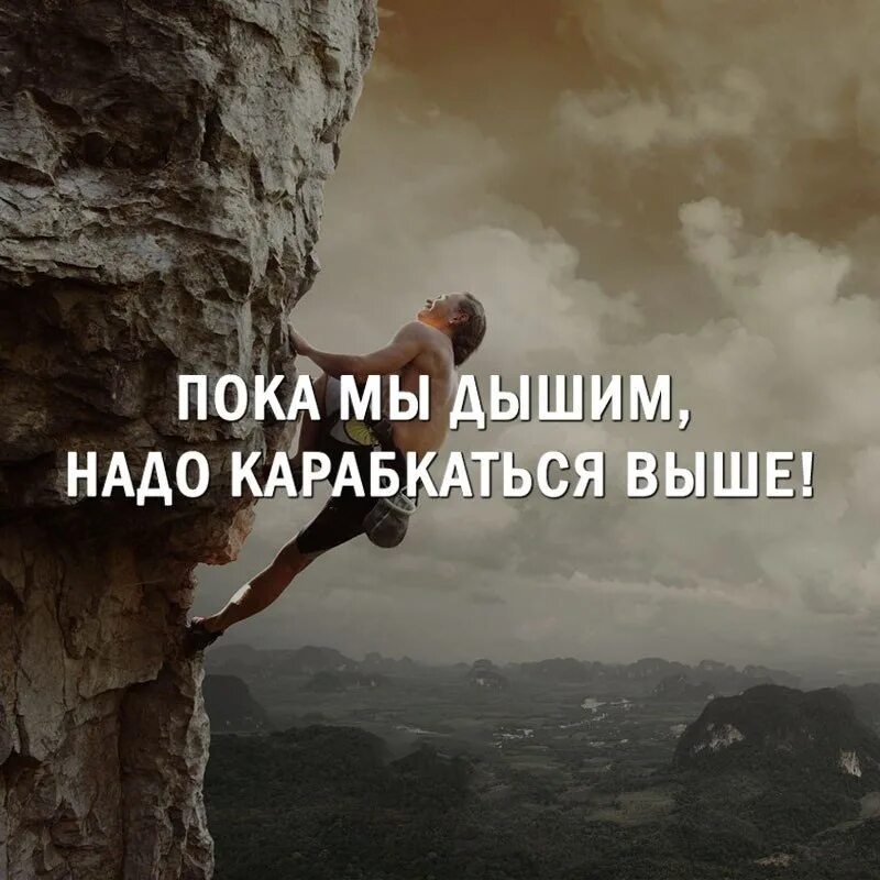 Выражение пока нет. Пока мы дышим надо карабкаться выше. высказывание карабкаясь по древу жизни. кто может карабкаться. вопреки карабкаться на вершине картинки.