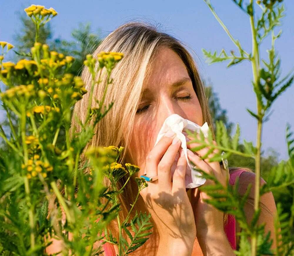Аллергическая трава. Аллергия на растения.