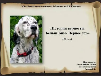 Белый бим какая порода
