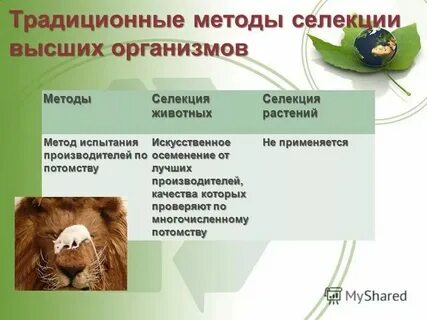 Метод оценки по потомству