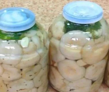 Грузди на зиму под капроновыми крышками