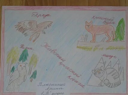 Нарисовать питомца 2 класс окружающий мир