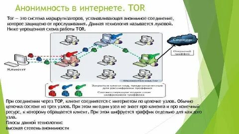 Интернет торы