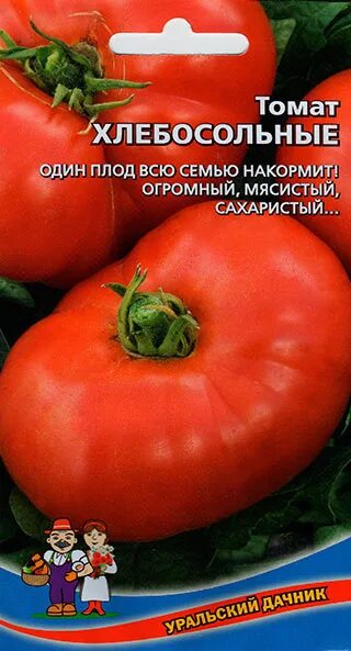 Помидоры хлебосольные. Сорт помидор хлебосольный. Сорт томат хлеб да соль. Томат хлеб да соль Уральский Дачник. Томат хлебосольный урожайность