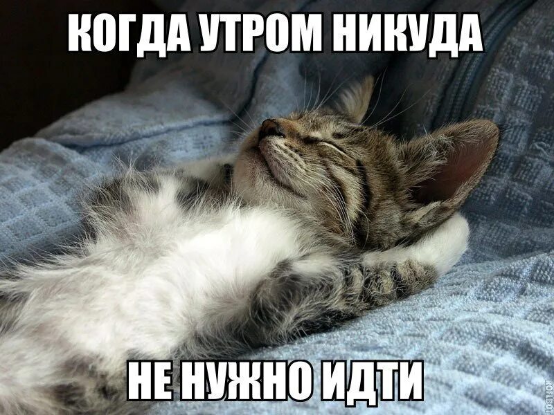 Отлично легла фото