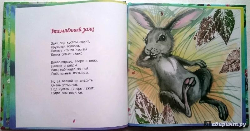 Продолжить дружит белка с шишкой
