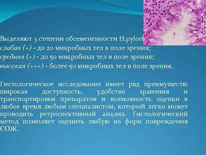 Обсеменение хеликобактера