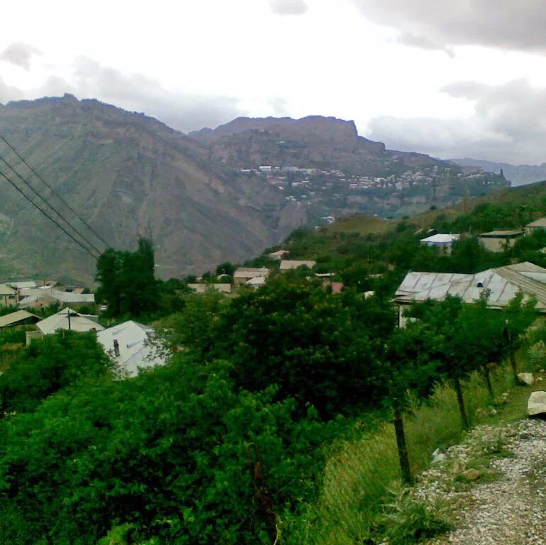 Село чох этнодом. Село чох дагестан. Чох коммуна. Чох коммуна. Дагестан чох коммуна.