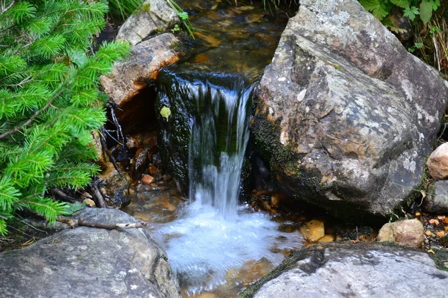 Родник Минеральные воды. Родник ааштопф Германия. Минеральные источники Геленджика. Родниковые Истоки ручья белый ручей. Речная 60 родники