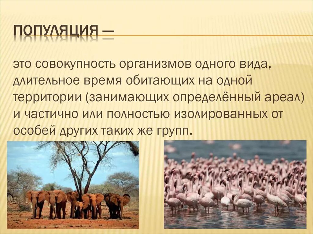 Популяция способна к. Виды популяций. Популяция это. Организм популяция. Популяция презентация.